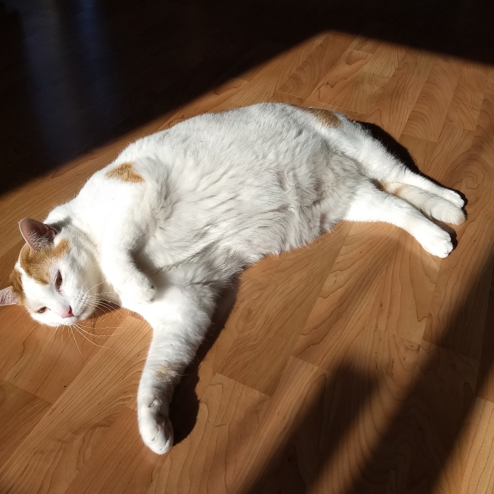 100k THANK YOU FRIENDS - Picture 8 of 14